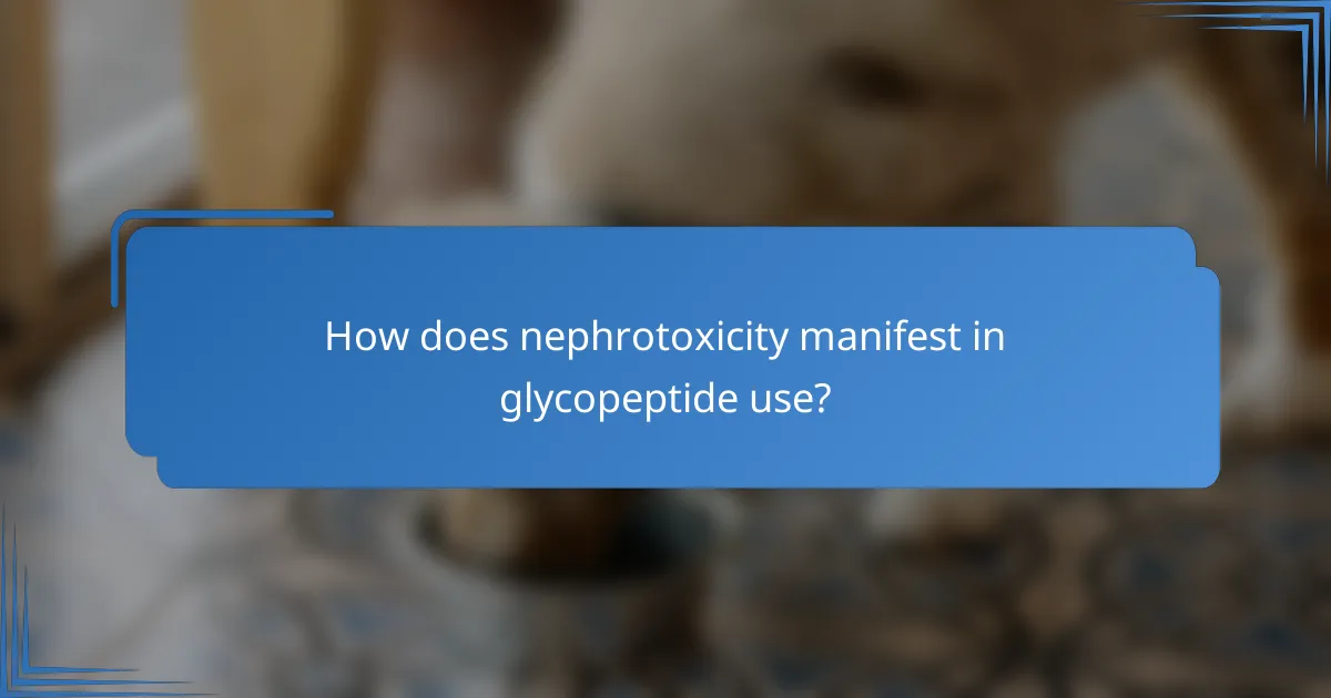 How does nephrotoxicity manifest in glycopeptide use?