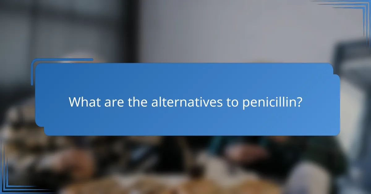 What are the alternatives to penicillin?